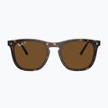 Окуляри сонцезахисні Ray-Ban RB2210 havana/brown polarized 2