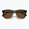 Окуляри сонцезахисні Ray-Ban RB2210 havana/brown polarized 3