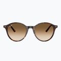 Окуляри сонцезахисні Ray-Ban Bernard havana/brown gradient 2