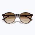 Окуляри сонцезахисні Ray-Ban Bernard havana/brown gradient 3