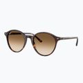 Окуляри сонцезахисні Ray-Ban Bernard havana/brown gradient 4