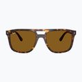 Окуляри сонцезахисні Ray-Ban RB2213 havana/brown b-15 2