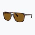 Окуляри сонцезахисні Ray-Ban RB2213 havana/brown b-15 4