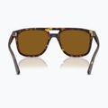 Окуляри сонцезахисні Ray-Ban RB2213 havana/brown b-15 5