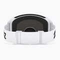 Окуляри лижні Bliz G004 matte white/brown/pink multi 3
