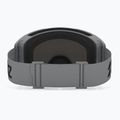 Окуляри лижні Bliz G004 matte grey/brown/purple multi 3