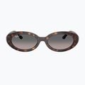 Окуляри сонцезахисні Ray-Ban RB2223 havana/gradient grey 2