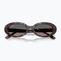 Окуляри сонцезахисні Ray-Ban RB2223 havana/gradient grey 3