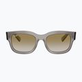 Окуляри сонцезахисні Ray-Ban RB2228M Scuderia transparent grey/brown mirror gold 2