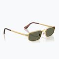Окуляри сонцезахисні Ray-Ban RB3927 By A$Ap Rocky