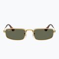 Окуляри сонцезахисні Ray-Ban RB3927 By A$Ap Rocky 2