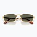 Окуляри сонцезахисні Ray-Ban RB3927 By A$Ap Rocky 3