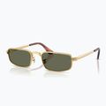 Окуляри сонцезахисні Ray-Ban RB3927 By A$Ap Rocky 4