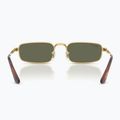 Окуляри сонцезахисні Ray-Ban RB3927 By A$Ap Rocky 5