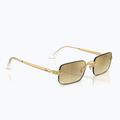 Окуляри сонцезахисні Ray-Ban RB3928 By A$Ap Rocky arista gold/brown gold