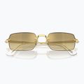 Окуляри сонцезахисні Ray-Ban RB3928 By A$Ap Rocky arista gold/brown gold 3