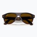 Окуляри з камерою Ray-Ban Meta Aviator transp. umber/trs jade 9