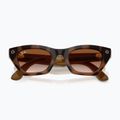 Окуляри з камерою Ray-Ban Meta Zena havana/gradient brown 6