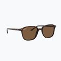Окуляри сонцезахисні Ray-Ban Leonard tortoise/brown polarized