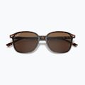 Окуляри сонцезахисні Ray-Ban Leonard tortoise/brown polarized 3