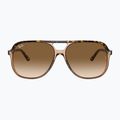 Окуляри сонцезахисні Ray-Ban Bill havana brown/transparent brown 2