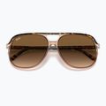 Окуляри сонцезахисні Ray-Ban Bill havana brown/transparent brown 3