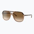 Окуляри сонцезахисні Ray-Ban Bill havana brown/transparent brown 4