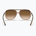 Окуляри сонцезахисні Ray-Ban Bill havana brown/transparent brown 5