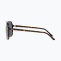 Окуляри сонцезахисні Ray-Ban Bill havana/blue 7
