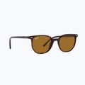 Окуляри сонцезахисні Ray-Ban Elliot havana brown/black polarized