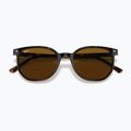 Окуляри сонцезахисні Ray-Ban Elliot havana brown/black polarized 3