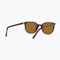 Окуляри сонцезахисні Ray-Ban Elliot havana brown/black polarized 6