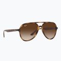 Окуляри сонцезахисні Ray-Ban RB4376 havana/brown gradient