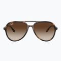 Окуляри сонцезахисні Ray-Ban RB4376 havana/brown gradient 2