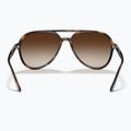 Окуляри сонцезахисні Ray-Ban RB4376 havana/brown gradient 5