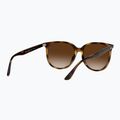 Окуляри сонцезахисні Ray-Ban RB4378 havana/brown gradient