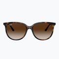 Окуляри сонцезахисні Ray-Ban RB4378 havana/brown gradient 2