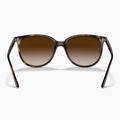 Окуляри сонцезахисні Ray-Ban RB4378 havana/brown gradient 3