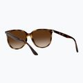 Окуляри сонцезахисні Ray-Ban RB4378 havana/brown gradient 4