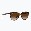 Окуляри сонцезахисні Ray-Ban RB4378 havana/brown gradient 5