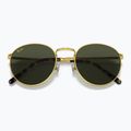 Окуляри сонцезахисні Ray-Ban New Round gold/green 3