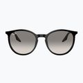 Окуляри сонцезахисні Ray-Ban RB2204 black/light grey 2