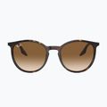 Окуляри сонцезахисні Ray-Ban RB2204 havana/light brown 2