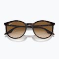 Окуляри сонцезахисні Ray-Ban RB2204 havana/light brown 3