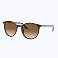 Окуляри сонцезахисні Ray-Ban RB2204 havana/light brown 4