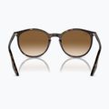 Окуляри сонцезахисні Ray-Ban RB2204 havana/light brown 5