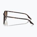 Окуляри сонцезахисні Ray-Ban RB2204 havana/light brown 6