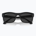 Окуляри сонцезахисні Ray-Ban RB4428 black/black polarized 4