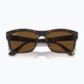 Окуляри сонцезахисні Ray-Ban RB4428 havana matte/brown polarized 3