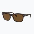 Окуляри сонцезахисні Ray-Ban RB4428 havana matte/brown polarized 4